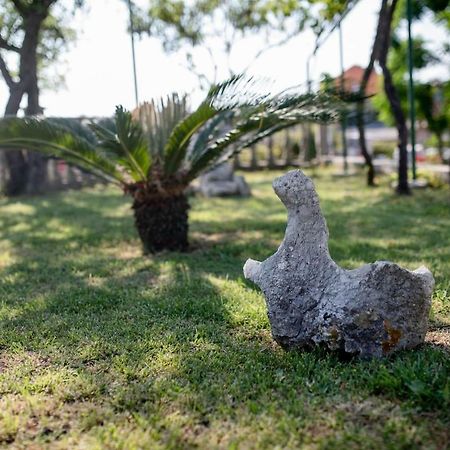 Apartman Marcela Palit Bagian luar foto