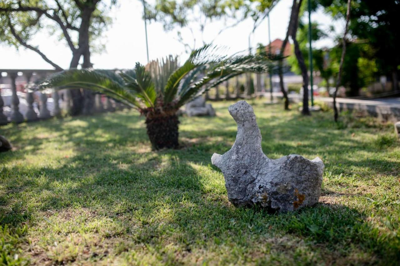 Apartman Marcela Palit Bagian luar foto